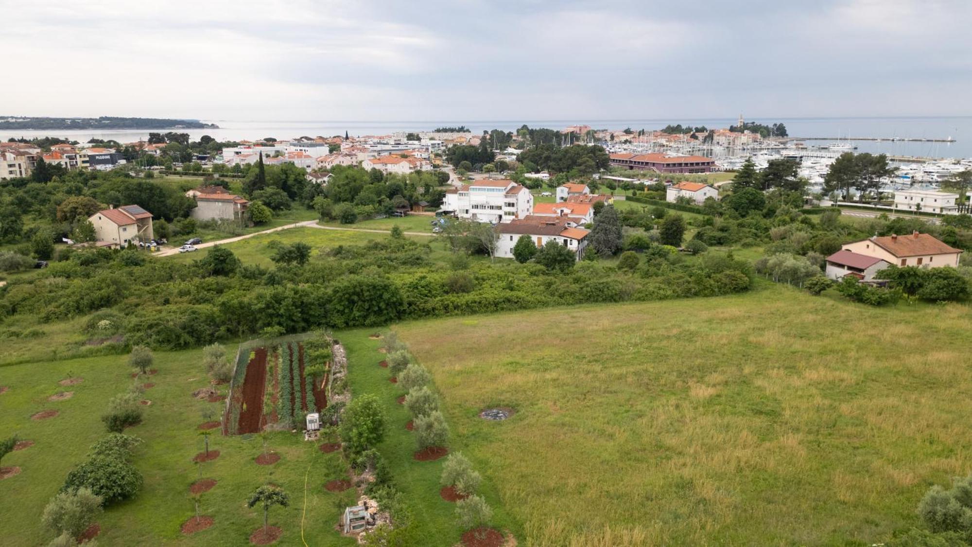 Apartments Mirella Novigrad Istria Exterior foto